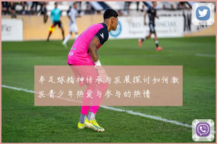 奉足球精神传承与发展探讨如何激发青少年热爱与参与的热情